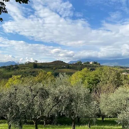 Casa Cantia At Mascarello Noventa Apartment